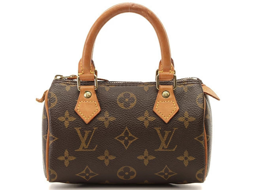 LOUIS VUITTON Speedy Monogram